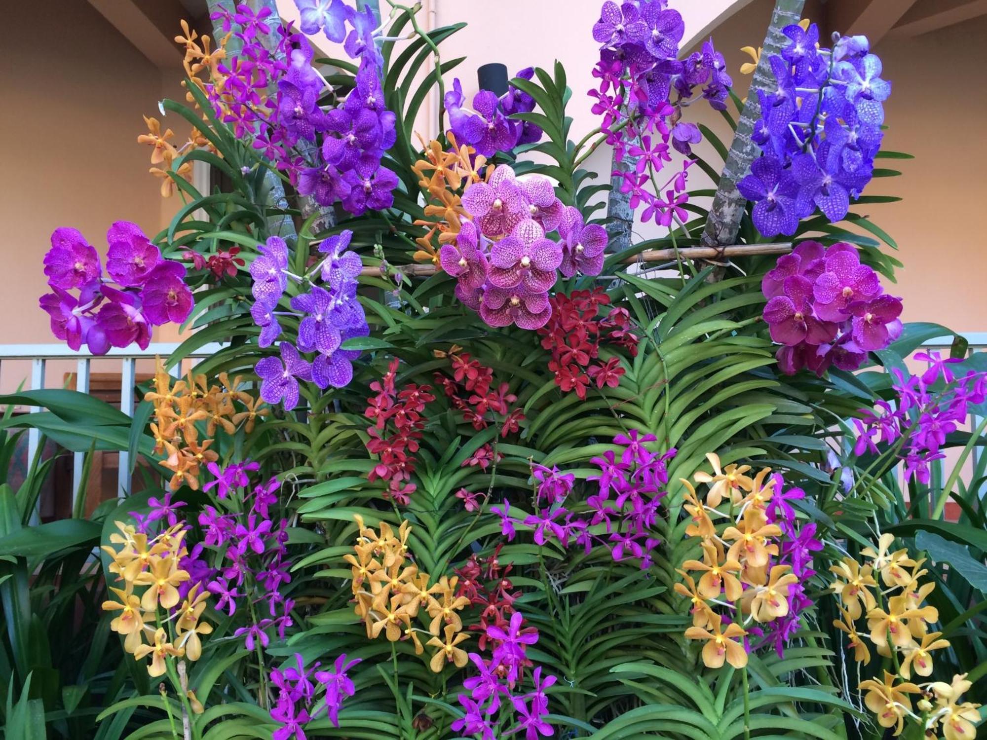 Anantasila Beach Resort הואה הין מראה חיצוני תמונה