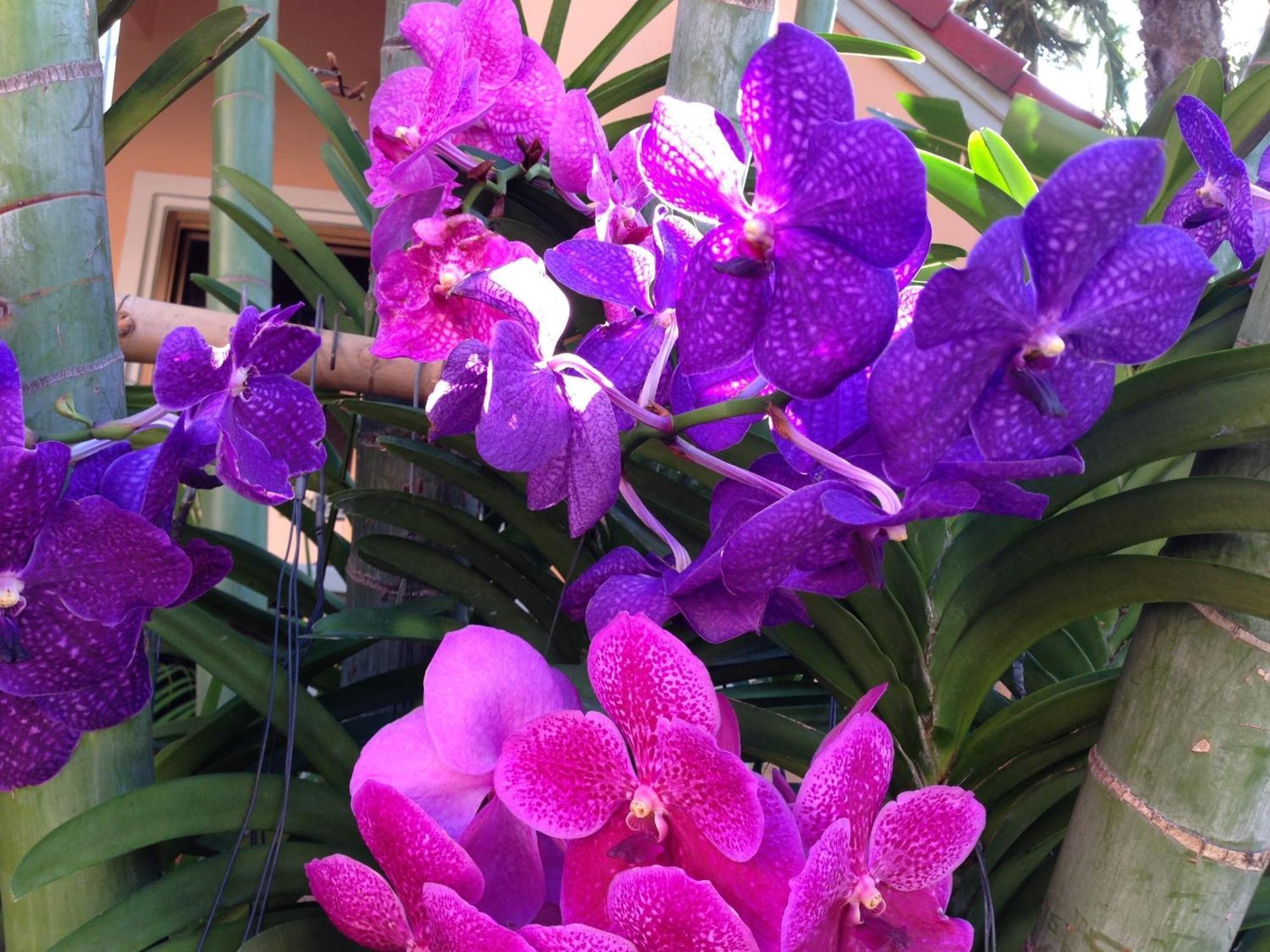 Anantasila Beach Resort הואה הין מראה חיצוני תמונה